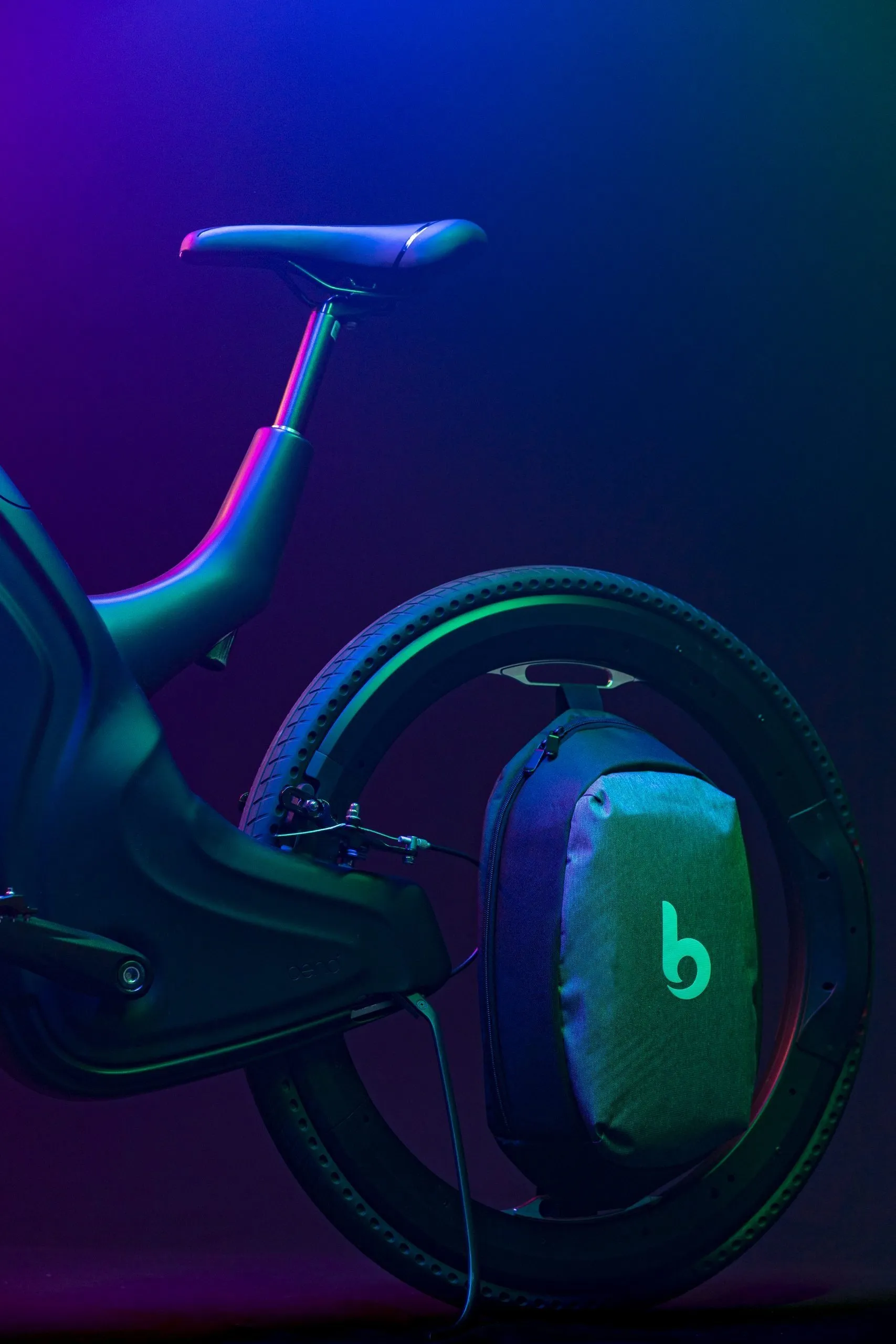 WLB00101-scaled-e1629094473530